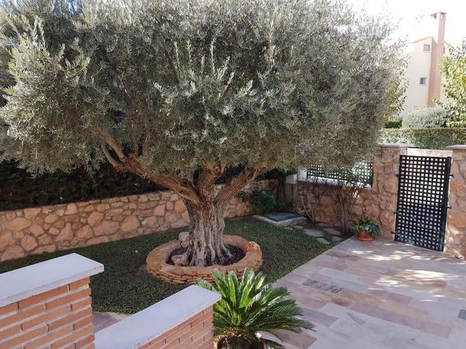 & Piscina-jardin-barbacoa Villa